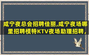 舟山酒吧招聘
